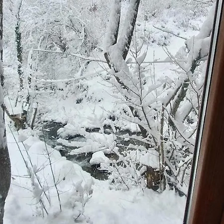 Doganin Kalbinde Dogallikla Bulusma Noktasi