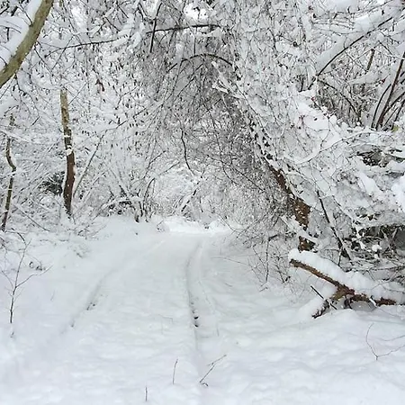 Alpesi faház Doganin Kalbinde Dogallikla Bulusma Noktasi