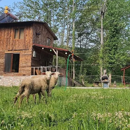 Doganin Kalbinde Dogallikla Bulusma Noktasi Alpesi faház