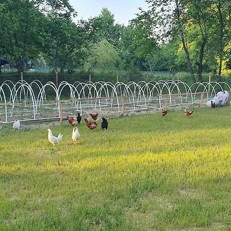 Doganin Kalbinde Dogallikla Bulusma Noktasi Alpesi faház Inegol