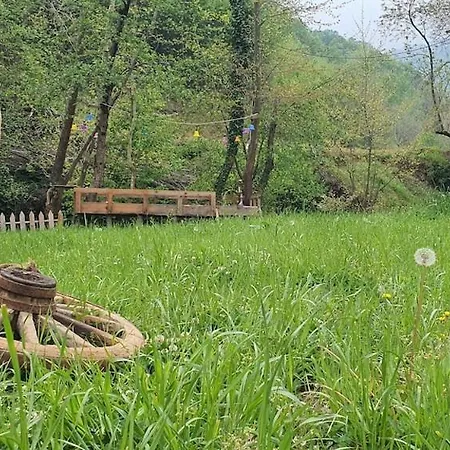 Doganin Kalbinde Dogallikla Bulusma Noktasi Alpesi faház